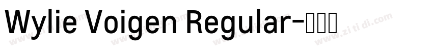 Wylie Voigen Regular字体转换